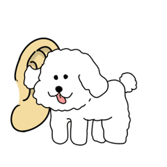 Moving Bichon Frize sticker 4