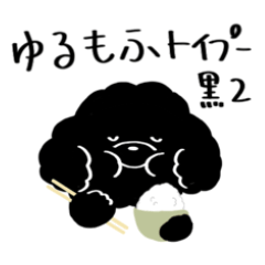 fluffy toy poodle black 2