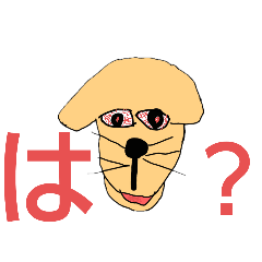 @gmail.com_20241021100914