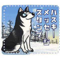 energetic husky winter