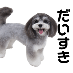 me her_20241021112754