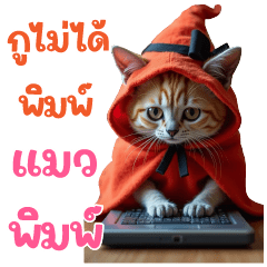 Cat in Halloween