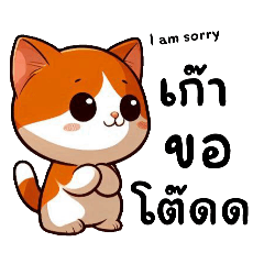 เจ้าแมว..สีส้มอ้วนกลม