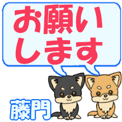 Fujikado's letters Chihuahua2