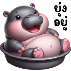 Cute Chubby Hippo 17