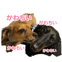 tomosono_20241021204808