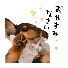 KURUMERO_20241022041605