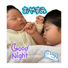 daijyu_20241022043254