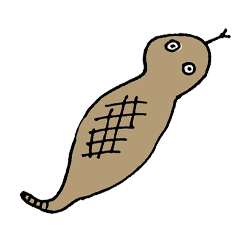 2025 Tsuchinoko