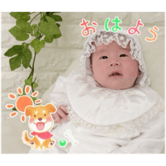 pyo_2024102214233