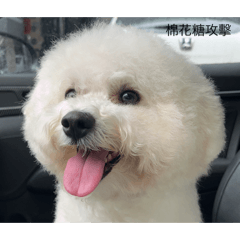 熏yh