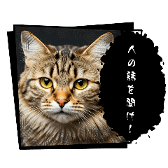 hanacoco_cat-greeting