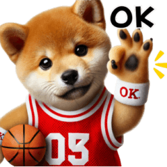 A realistic basketball Shiba Inu.