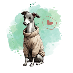 Dog series Italian greyhound daily