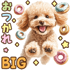 Toy poodle cute colourful big sticker