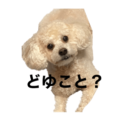 CREAM_20241022195625