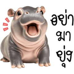 Cute Baby Pygmy Hippo Dukdik Animation