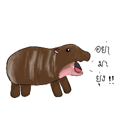 janenutcha_20241023005451