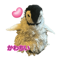 penguin_20241023033124