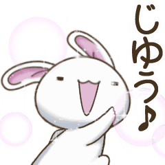 Behavioral rabbit6