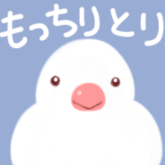 mochi bird Sticker