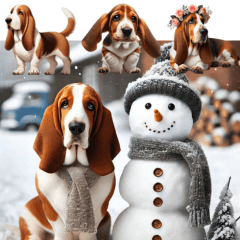 Adorable Lucas The BassetHound Adventure