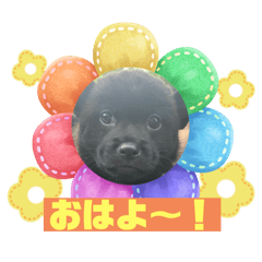 kayo_20241023114113