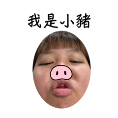 小豬與小小豬日常