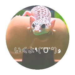 wagochi_20241023092344