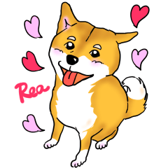 Naughty mame-shiba  Rea-chan