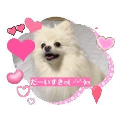Sarann_20241023110343