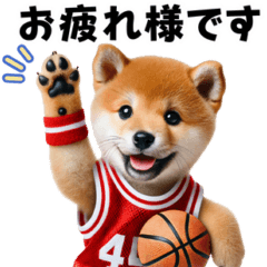 honorific-realistic basketball Shiba Inu