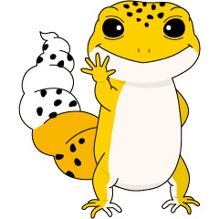 Daily conversation leopard gecko