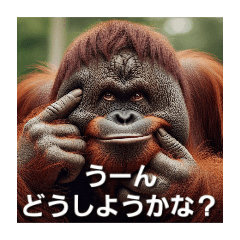 Orangutan with annoying face and pose