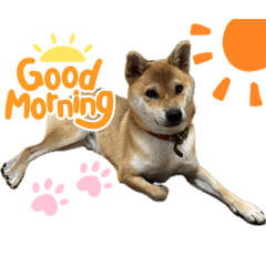 キャキャオ