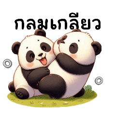 แพนด้าที่แปลว่าหมี