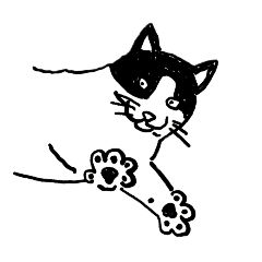 Tuxedo Cat Mochi