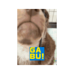 uuto_20241023230448