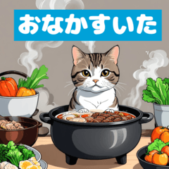 Cozy Cat & Hot Pot Adventures