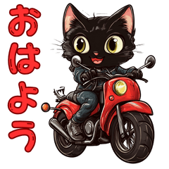 A black cat who loves bikes