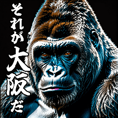 Gorilla talking about Osaka