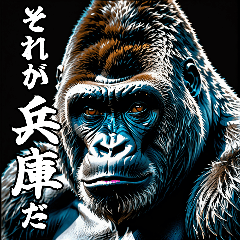 Gorilla talking about Hyogo