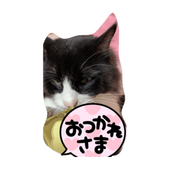kayo_20241023195921