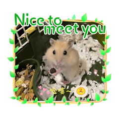 Furry_20241024000435