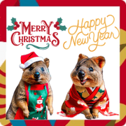 Quokka Wallaby Christmas & New Year