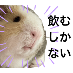 殿の飼い主と酒クズのためのスタンプ☆彡