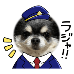 MITSUKI_20241023205923