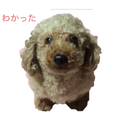 Isa_20241024133252