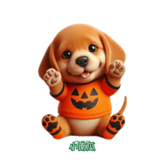 小南瓜&萬聖節
