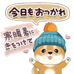 Greetings of Shiba Inu 11